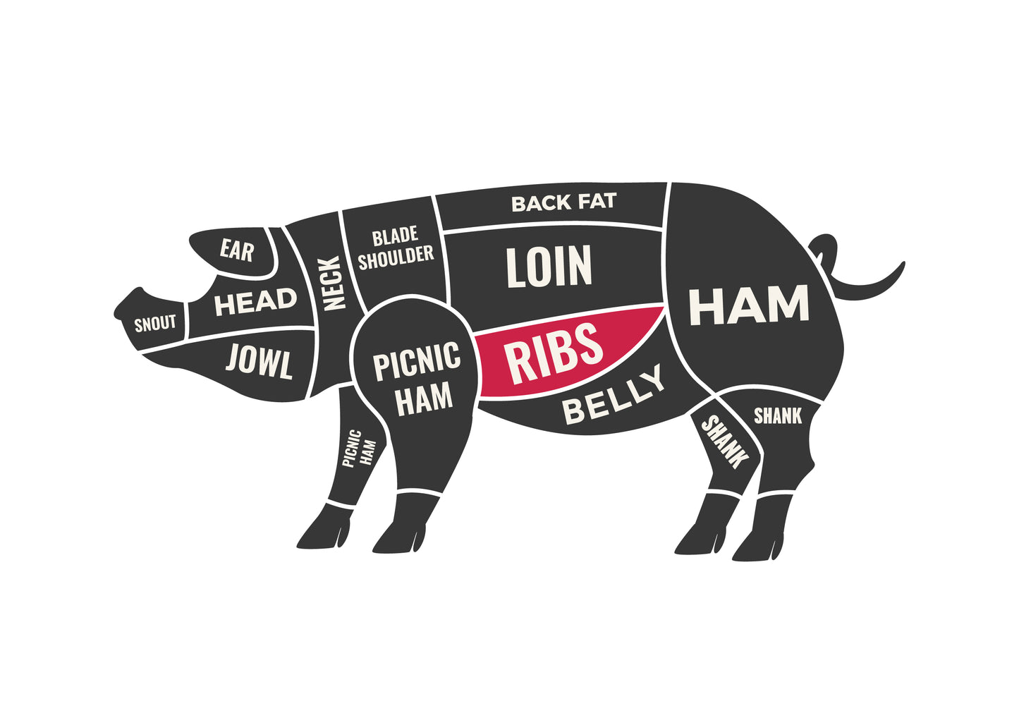 Ribs - Baby Back